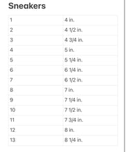 Load image into Gallery viewer, Checkered Past Slides-RTS